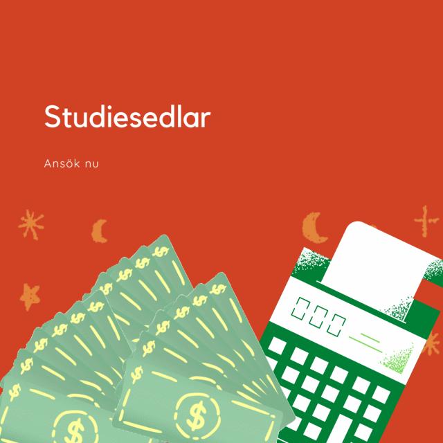 Studiesedlar