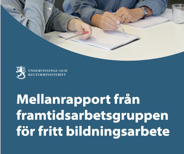 Mellanrapport